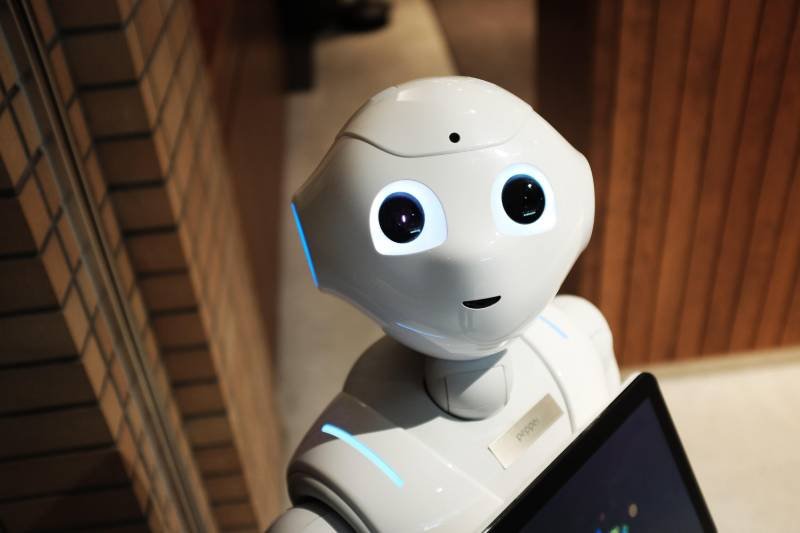 Chatbot (1)